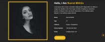 Nusrat Personal Portfolio HTML Template Screenshot 2