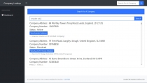 UK Company Lookup PHP Script Screenshot 1