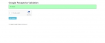 reCaptcha Validator PHP Script Screenshot 2
