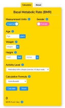 Basal Metabolic Rate BMR Calculator WordPress Screenshot 7