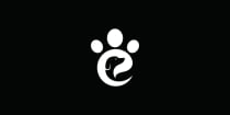 Embark Logo Screenshot 2