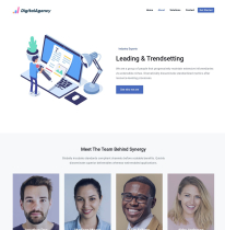 Digital Agency WordPress Theme Screenshot 3