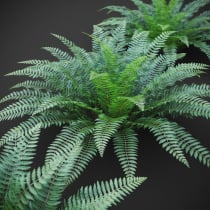 Ostrich Fern 3D Plant Low Poly Screenshot 1