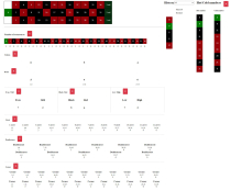 Roulette And  Blackjack Calculator Screenshot 4