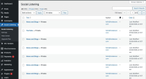 Wordpress Social Listening Plugin Screenshot 1