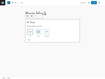 Posts Block Pro for WordPress Screenshot 2