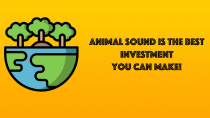 Animal Sound - iOS App Template Screenshot 3