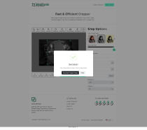 Blaz Image Cropper Addon Screenshot 4