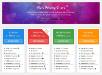 King Hosting Cart - 10 WHMCS Order Form Template Screenshot 11