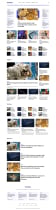 News Publication Theme - WordPress Screenshot 5