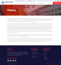 Consultancy - HTML Template Screenshot 7