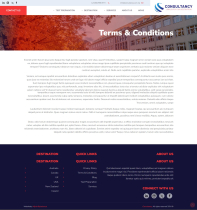 Consultancy - HTML Template Screenshot 23