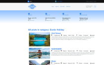 mExclusive Wordpress theme Screenshot 2