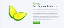 Butterfly - Fruit Shop HTML5 Landing Page Template Screenshot 5