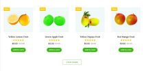 Butterfly - Fruit Shop HTML5 Landing Page Template Screenshot 7