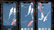 Koi Fish Live Wallpaper AdMob Ads Android Screenshot 2