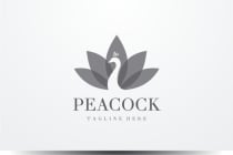 Peacock  Logo Screenshot 2