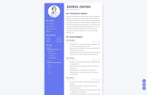 Resumaine - AI Resume and Cover Letter Platform Screenshot 5