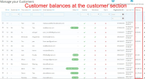 User Internal Balance Module For PrestaShop Screenshot 10