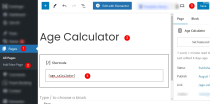 Age Calculator – Accurate Responsive WP Plugin Screenshot 13