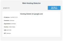 Web Hosting Detector Tool WordPress Plugin Screenshot 2