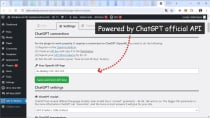 WordPress AI ChatBot plugin - powered by ChatGPT Screenshot 4