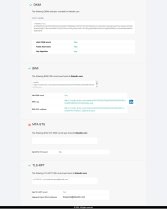 Website DNS and Mail Security Audit Tool Screenshot 3