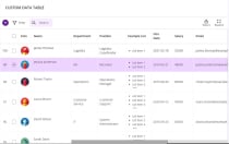 Custom Data Table PHP Screenshot 1