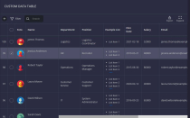 Custom Data Table PHP Screenshot 3