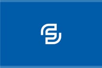 Synergic Letter S Logo Screenshot 1