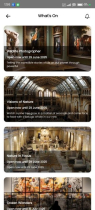 Museum UI Kit React Screenshot 26
